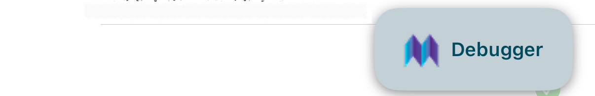 debugger